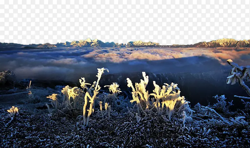 雪山风景