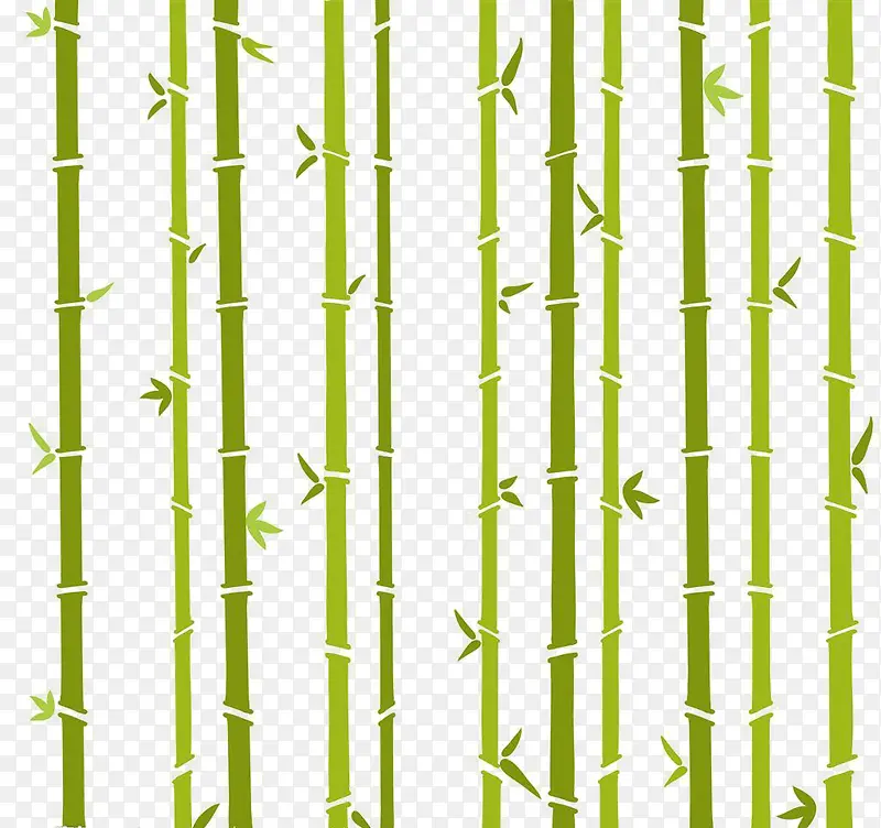 竹子图案竹叶图片 卡通手绘清新