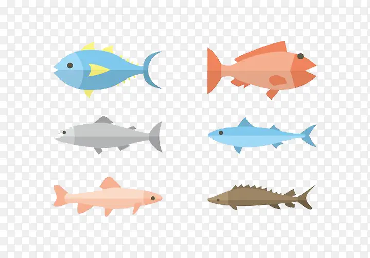 扁平化设计鱼类海洋生物
