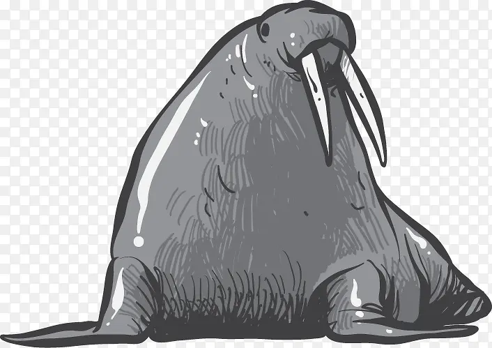 卡通矢量手绘海豹动物