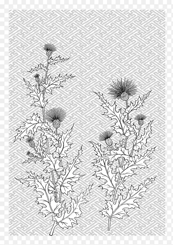 日本线描植物花卉矢量素材