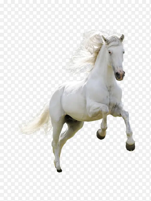 奔驰的白色骏马