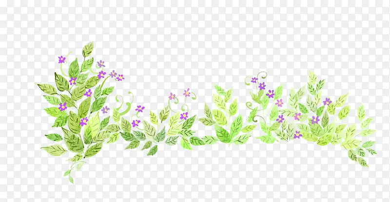 花卉专辑