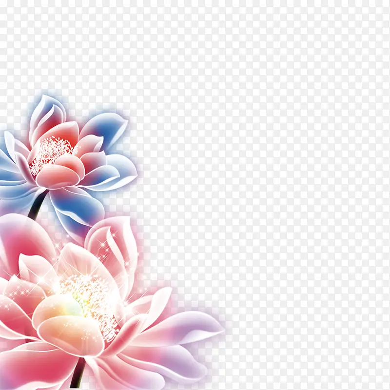 花好月圆牡丹