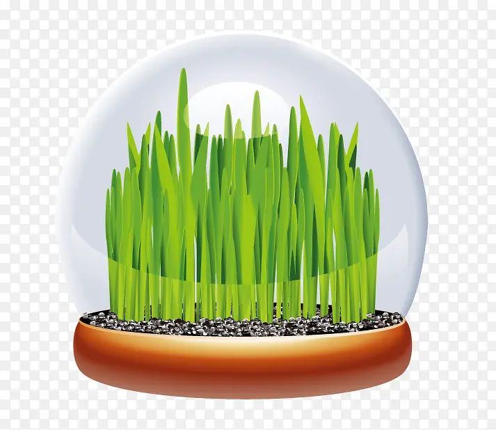种植蒜苗PNG图片素材下载_图片编号qvmmmdnx-免抠素材网
