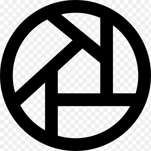 Picasa大标志图标