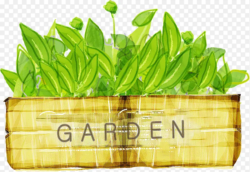 绿色盆景花园GARDEN