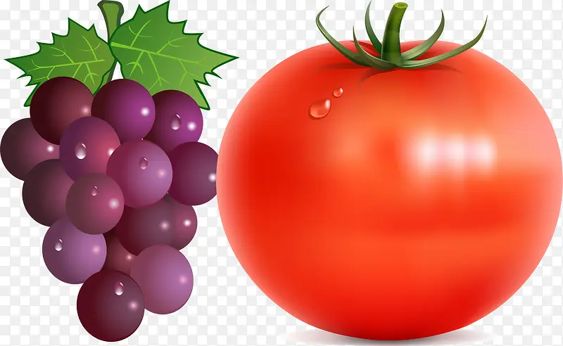 西红柿葡萄png矢量素材