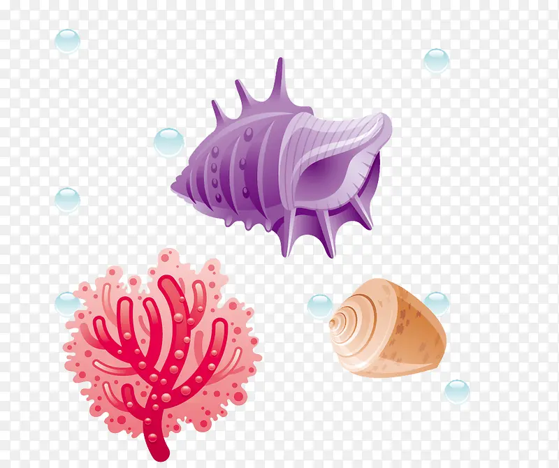 珊瑚贝壳海螺