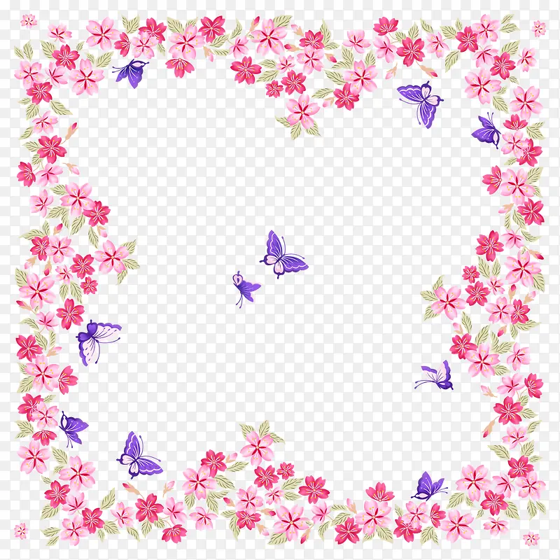 蝴蝶花卉边框