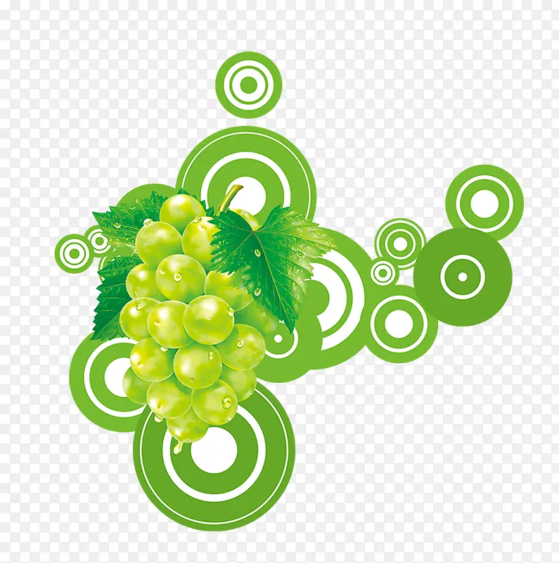 圆圈上的绿色葡萄