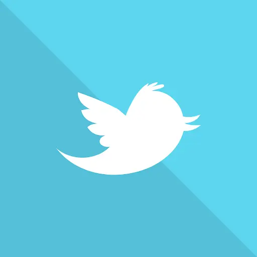 推特叶,平坦的社交媒体图标设计
