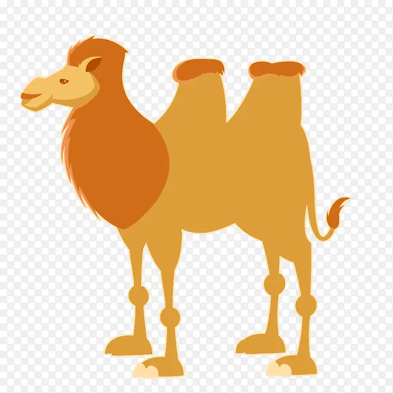 卡通扁平化骆驼