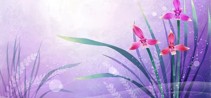 紫色浪漫水仙花背景