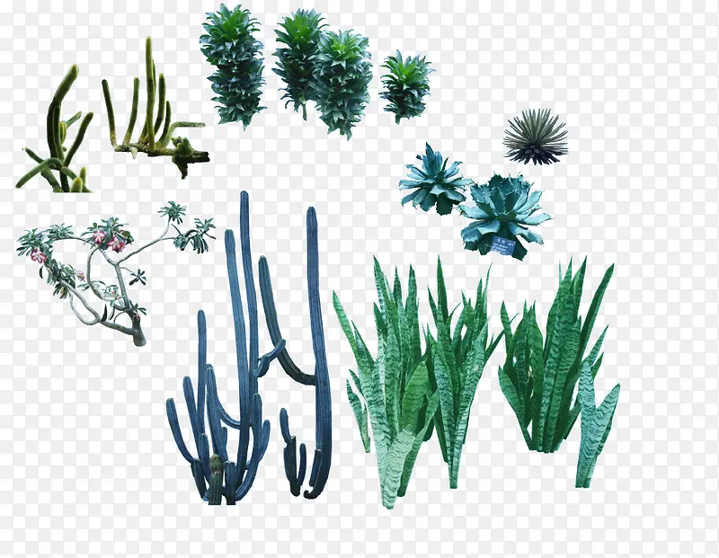 植物素材免抠图PNG图片素材下载_图片编号ydoovppb-免抠素材网