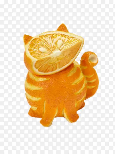 橙子猫图片