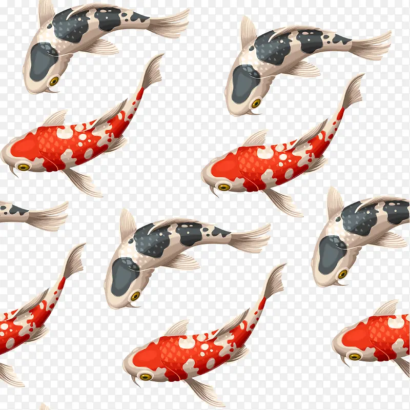 日式鲤鱼插画矢量
