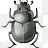 抗病毒攻击甲虫错误昆虫恶意害虫