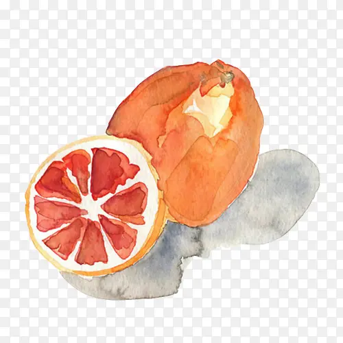 柚子水彩画素材图片