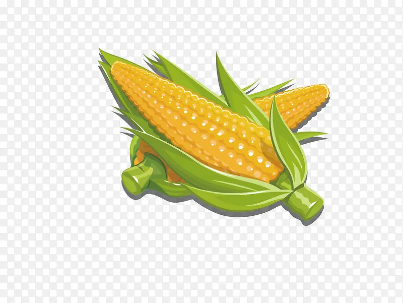 矢量图玉米