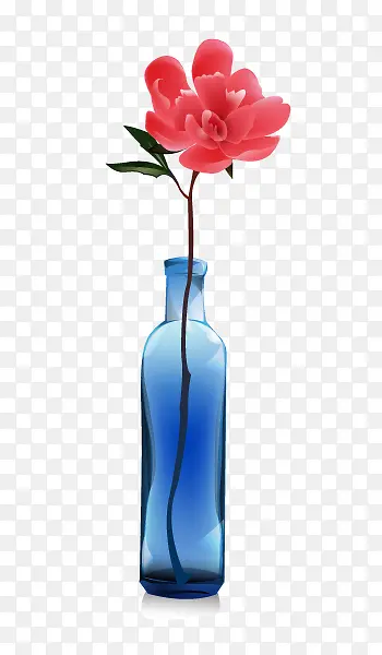瓶子里的玫瑰花