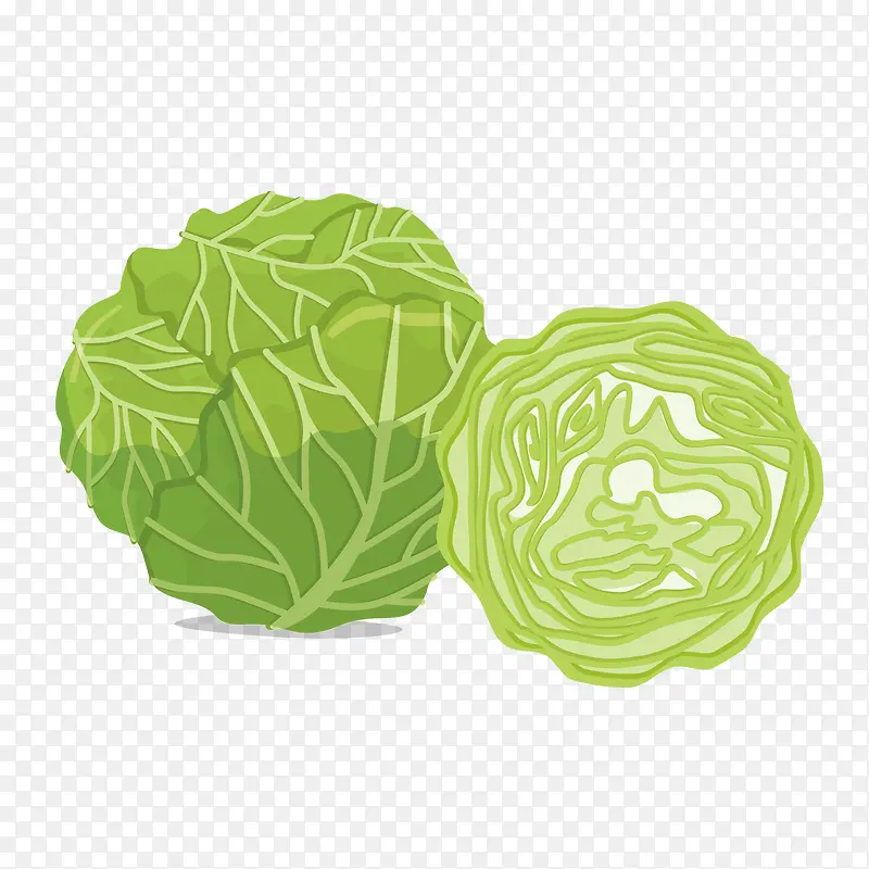 ，卡通卷心菜