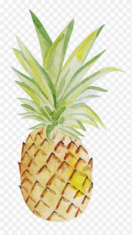 卡通手绘黄色的菠萝