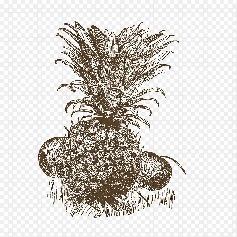 卡通手绘植物菠萝