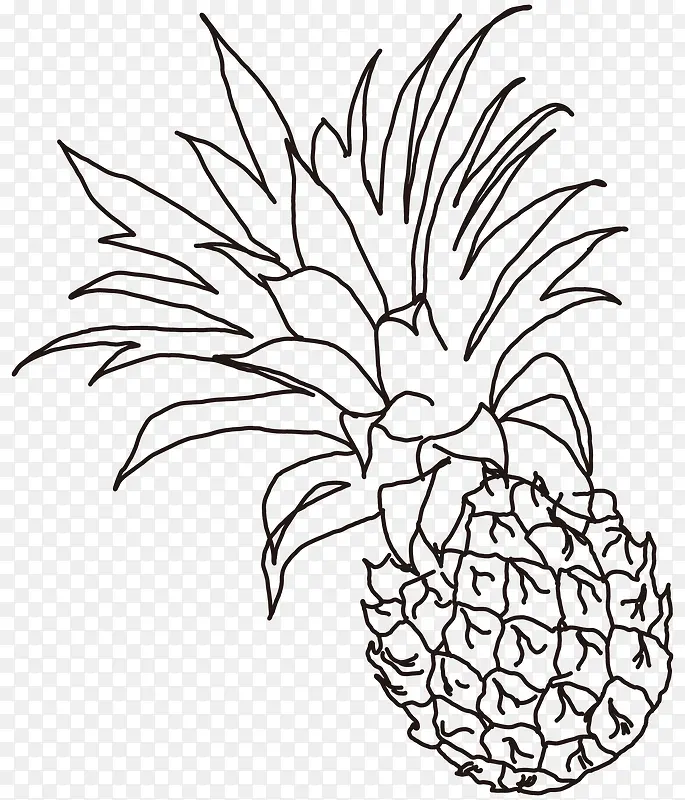 线描菠萝