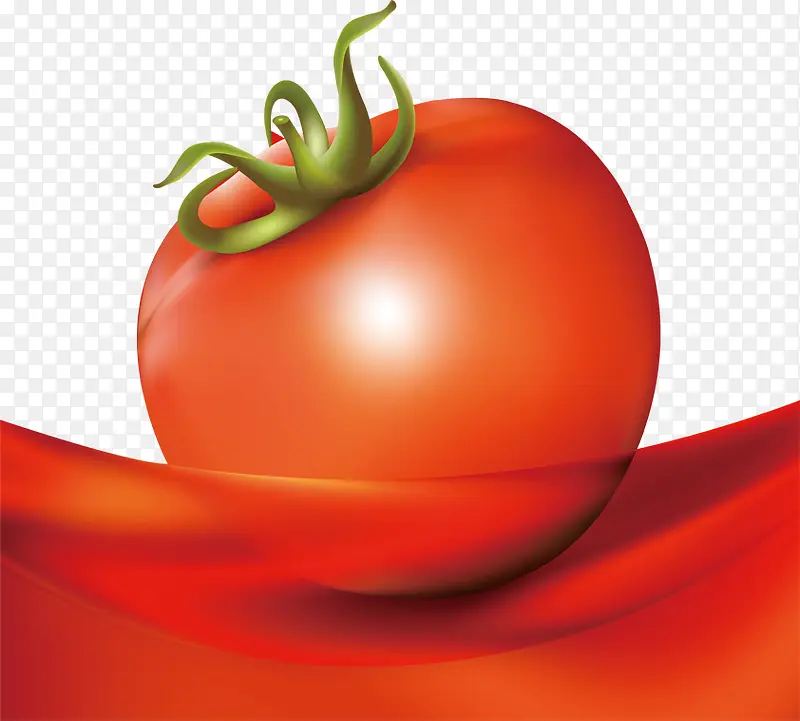 矢量果实西红柿
