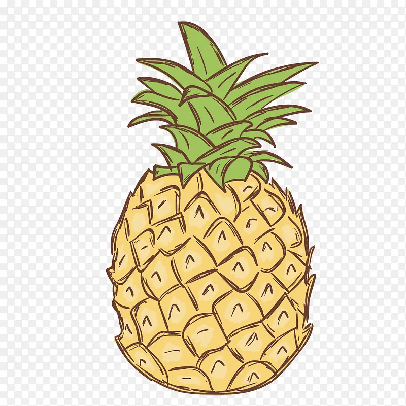 卡通手绘黄色的菠萝