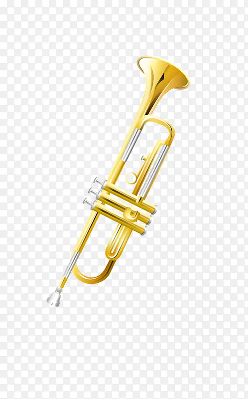 唯美精致金色乐器笛子