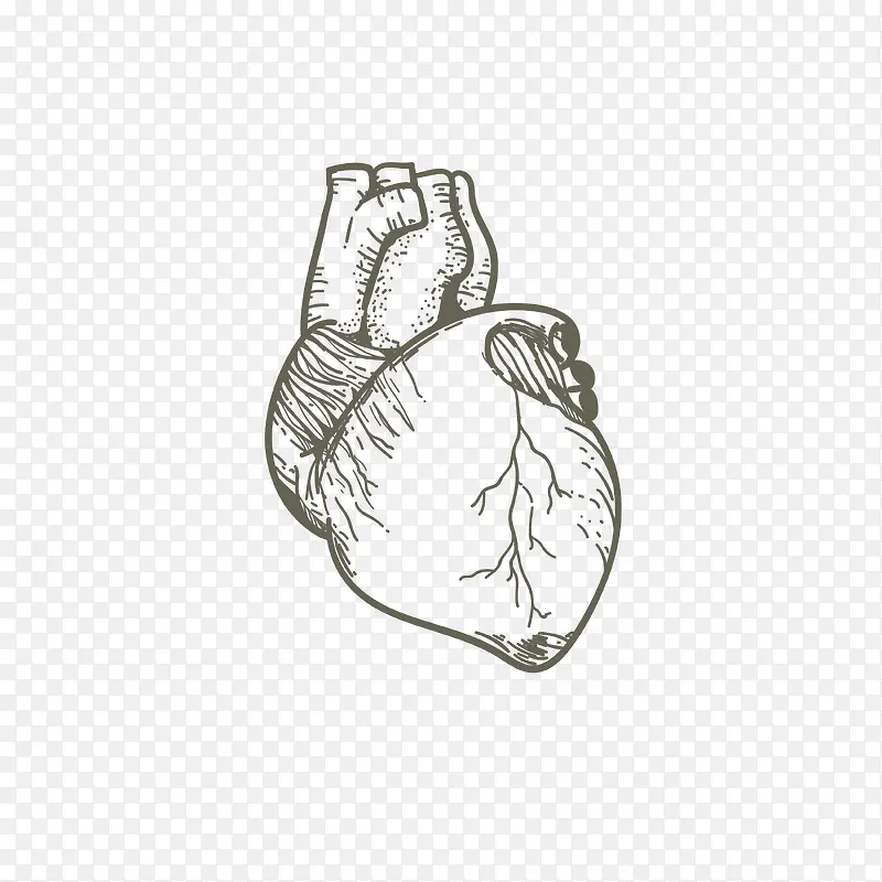 卡通手绘心脏血管矢量图