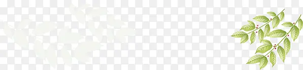 网站树叶底纹背景banner