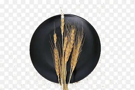 黑色盘子小麦