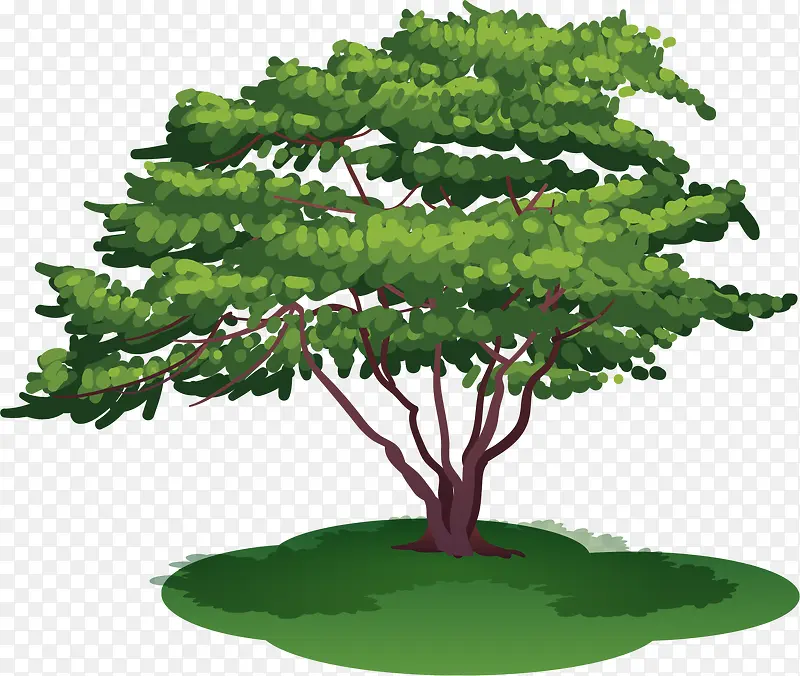 卡通植物大树