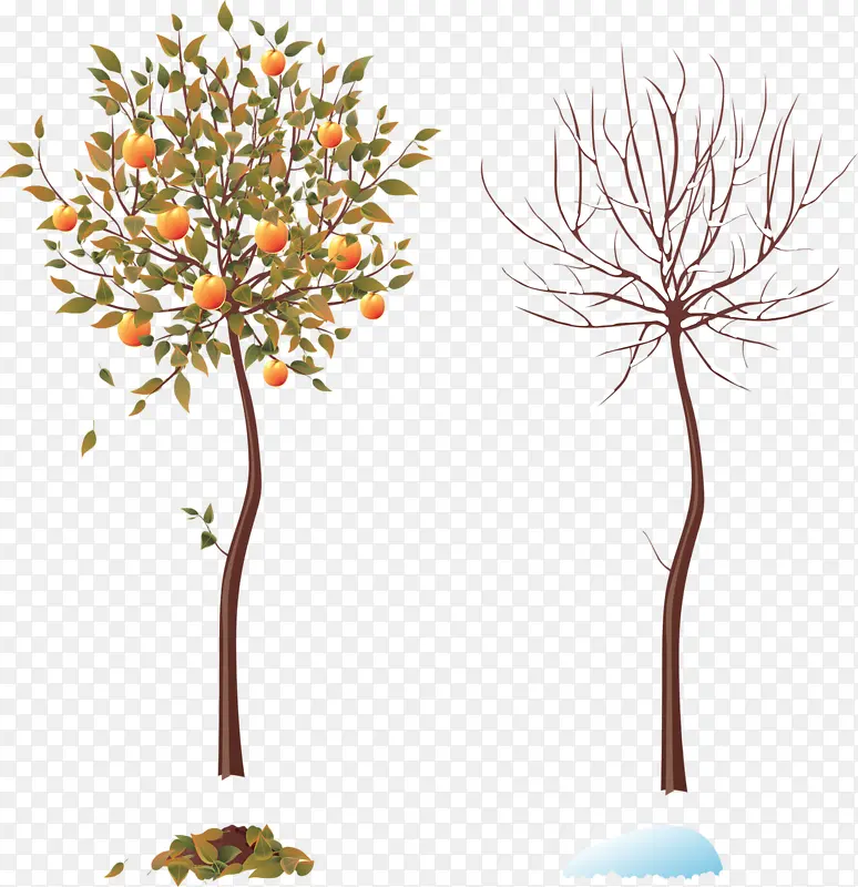 干枯的树和果实累累的树
