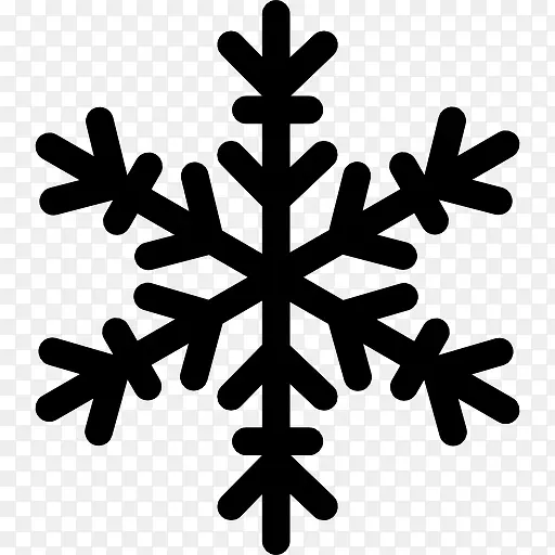 Snowflake 图标PNG图片素材下载_图片编号ylvvzjwr-免抠素材网