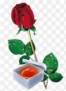红色玫瑰水晶爱心