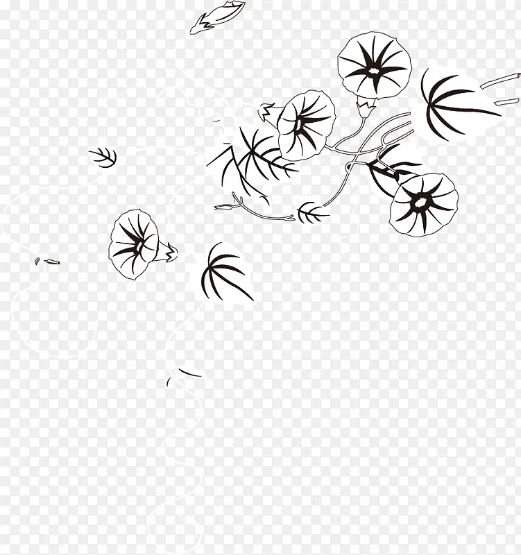 矢量手绘牵牛花