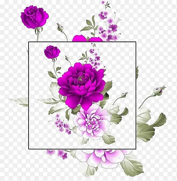 紫色牡丹边框