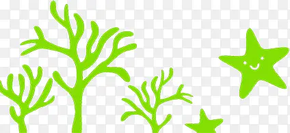 绿色水草海星