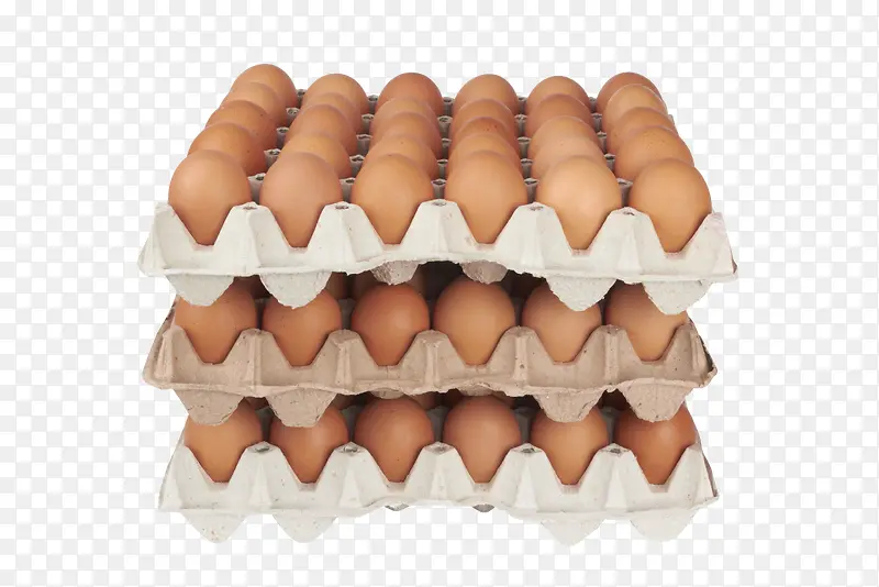 食物鸡蛋