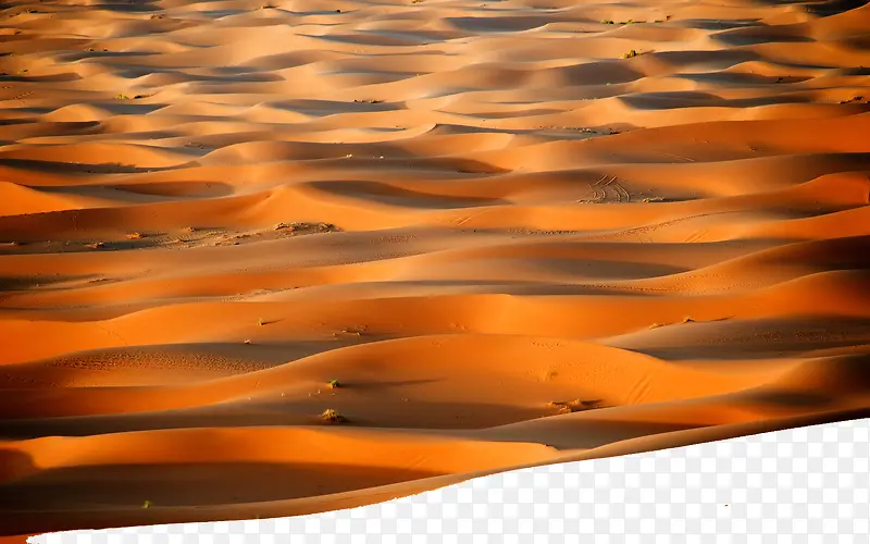 撒哈拉沙漠四