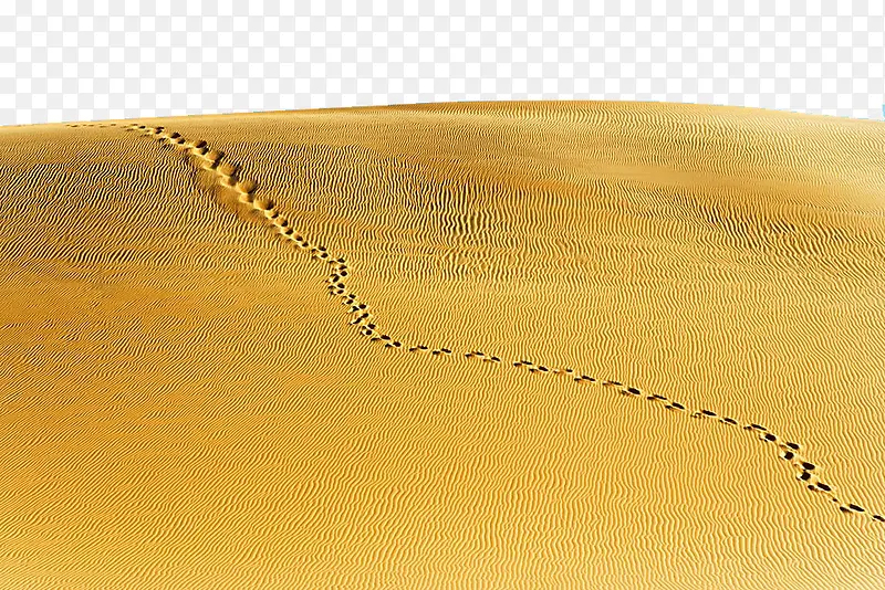 著名撒哈拉沙漠景点