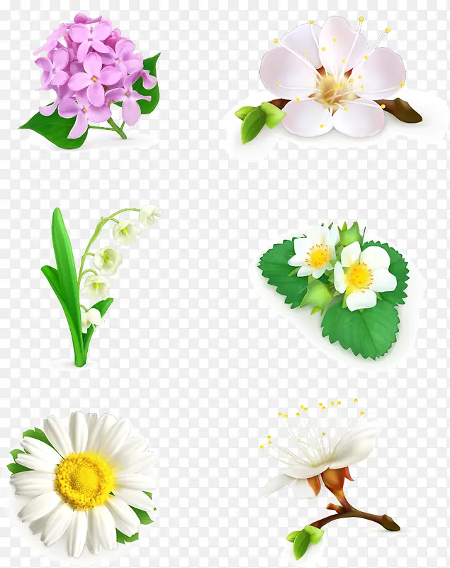 各种花卉花朵矢量图