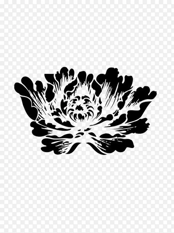 绘画的花卉