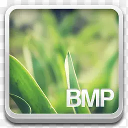 Bmp文件图标