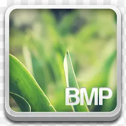 BMP文件ampola图标