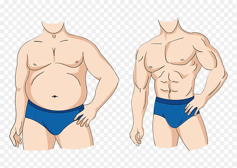 肌肉男与胖男人